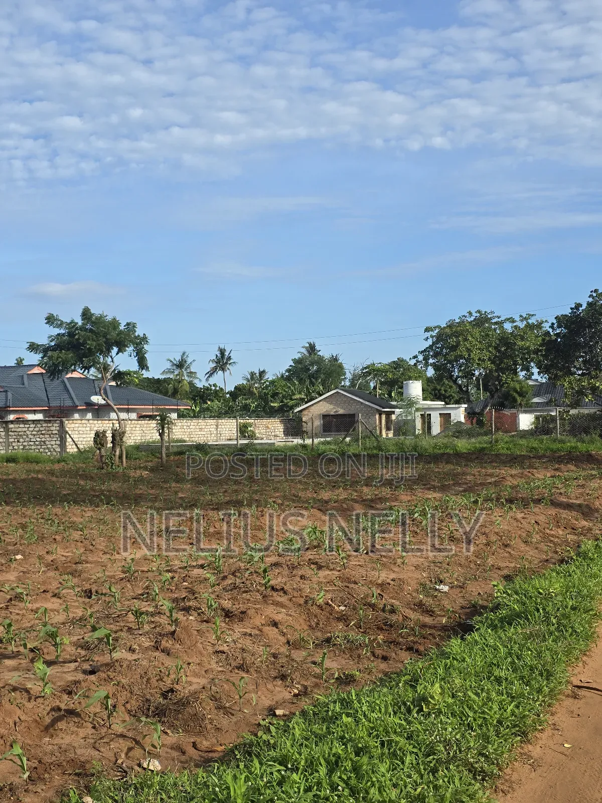 Bofa Prime 3rd Row Beach Plots for Sale