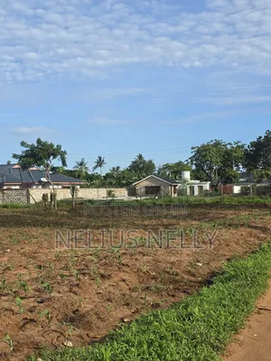 Bofa Prime 3rd Row Beach Plots for Sale