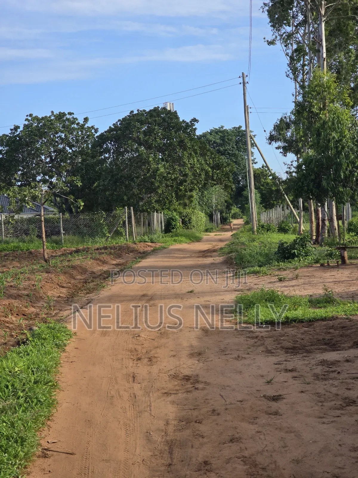 Bofa Prime 3rd Row Beach Plots for Sale