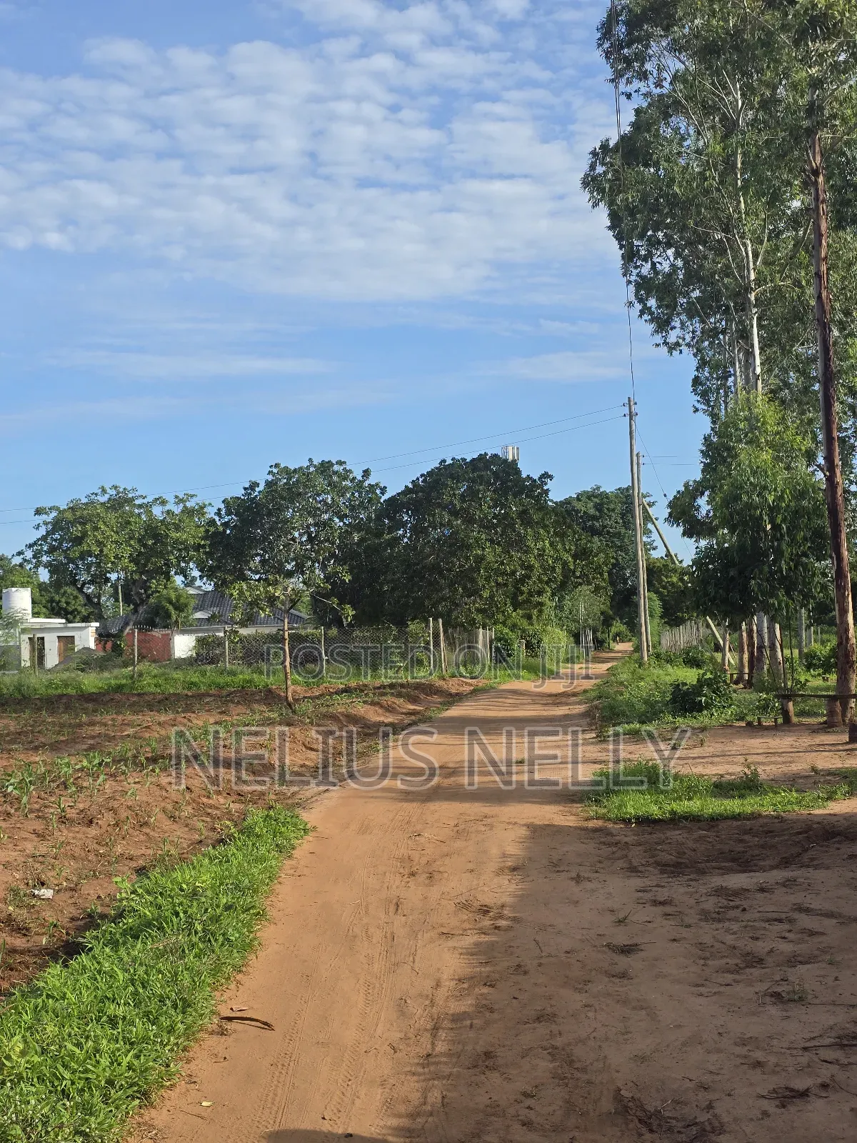 Bofa Prime 3rd Row Beach Plots for Sale