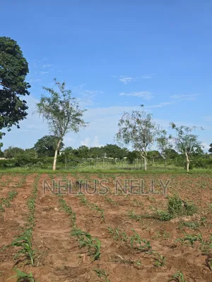 Bofa Prime 3rd Row Beach Plots for Sale