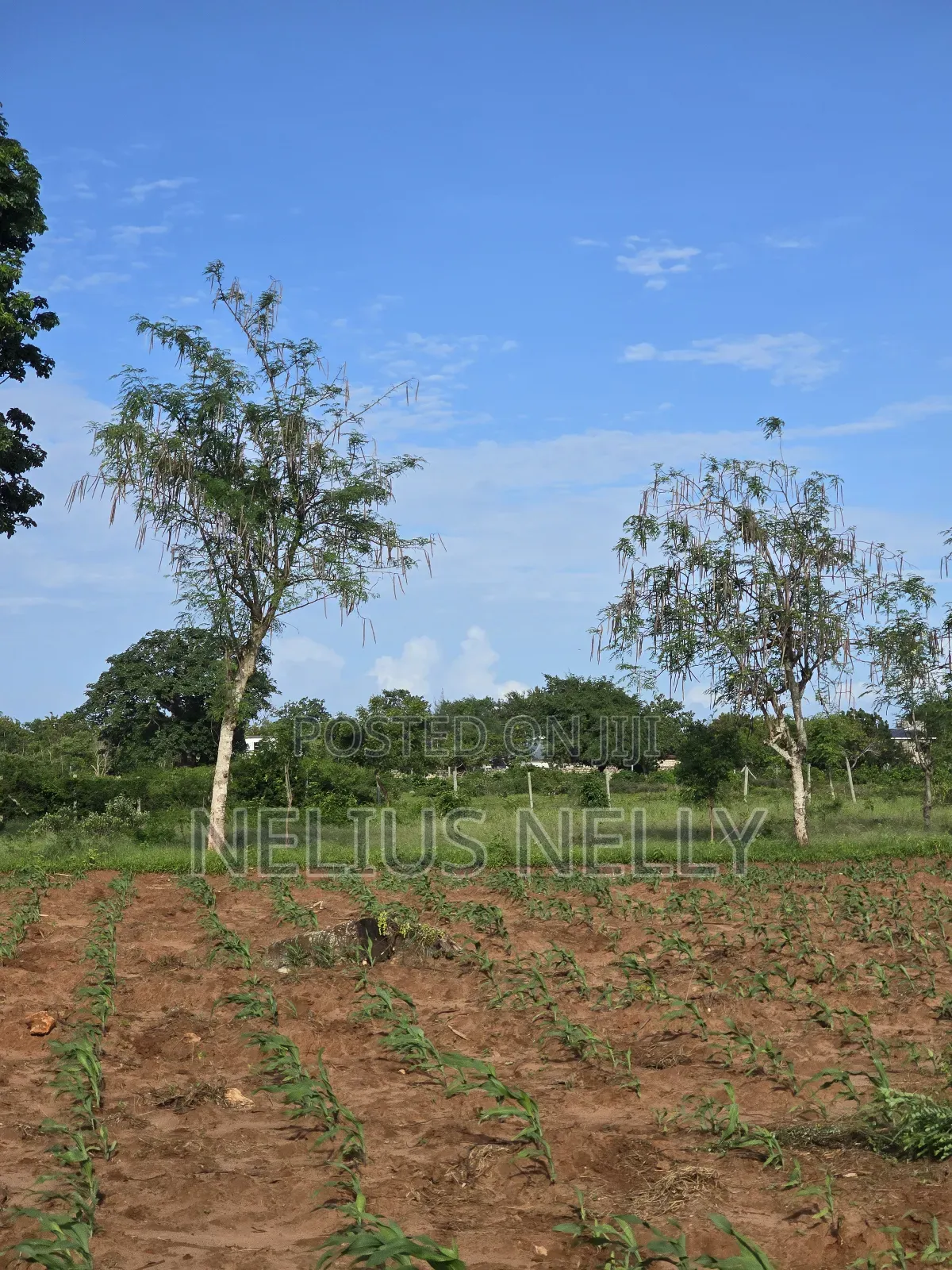 Bofa Prime 3rd Row Beach Plots for Sale