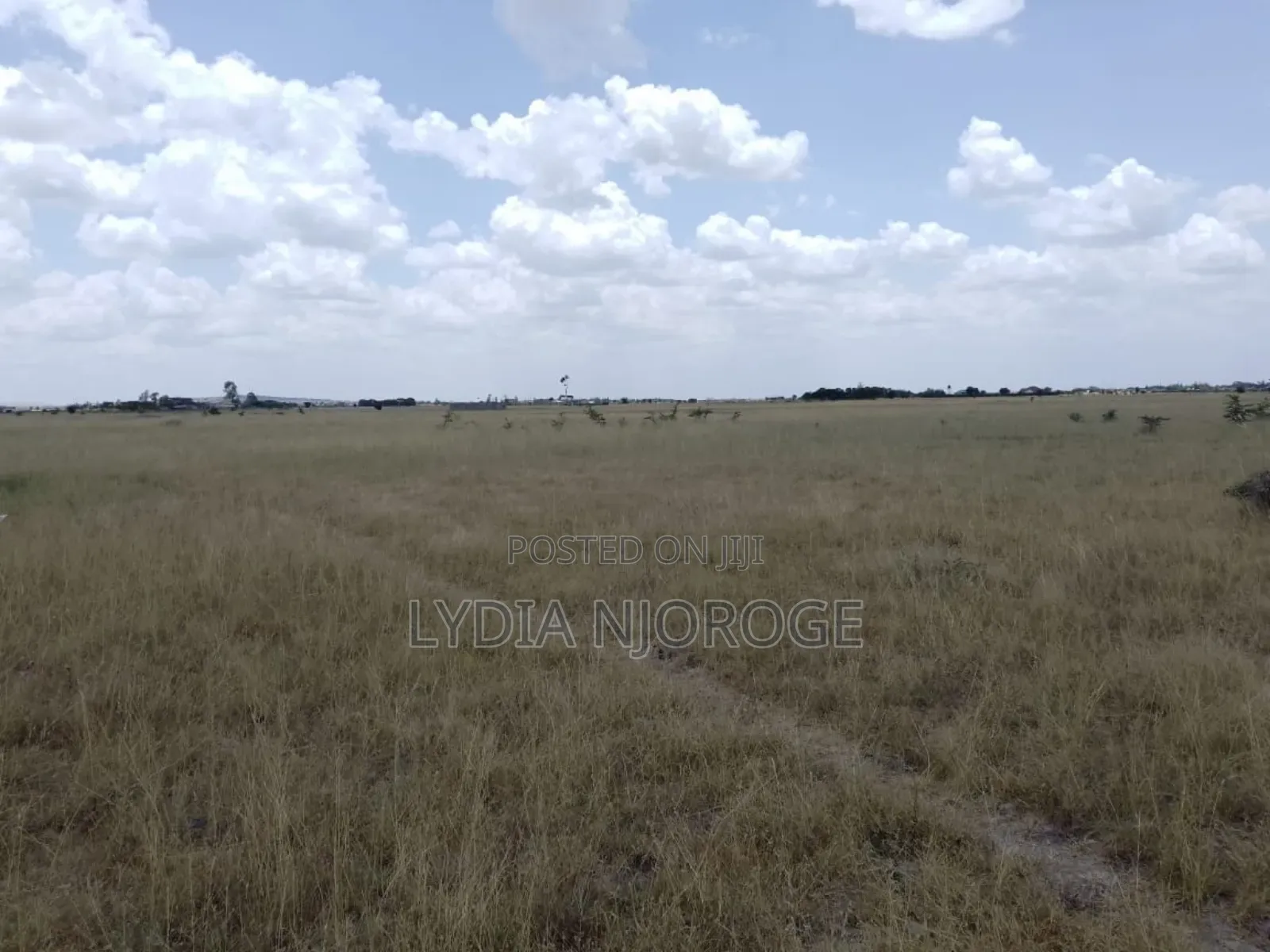 100 by 100 Plot for Sale With Ready Title Deed