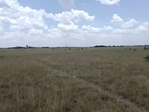 100 by 100 Plot for Sale With Ready Title Deed