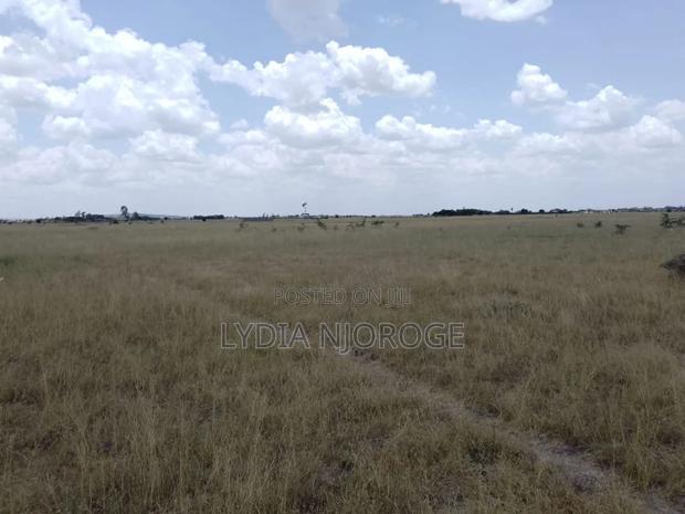 100 by 100 Plot for Sale With Ready Title Deed - thumbnail 3