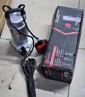 Edon 1hp Submassible Shallow Water Pump - main view