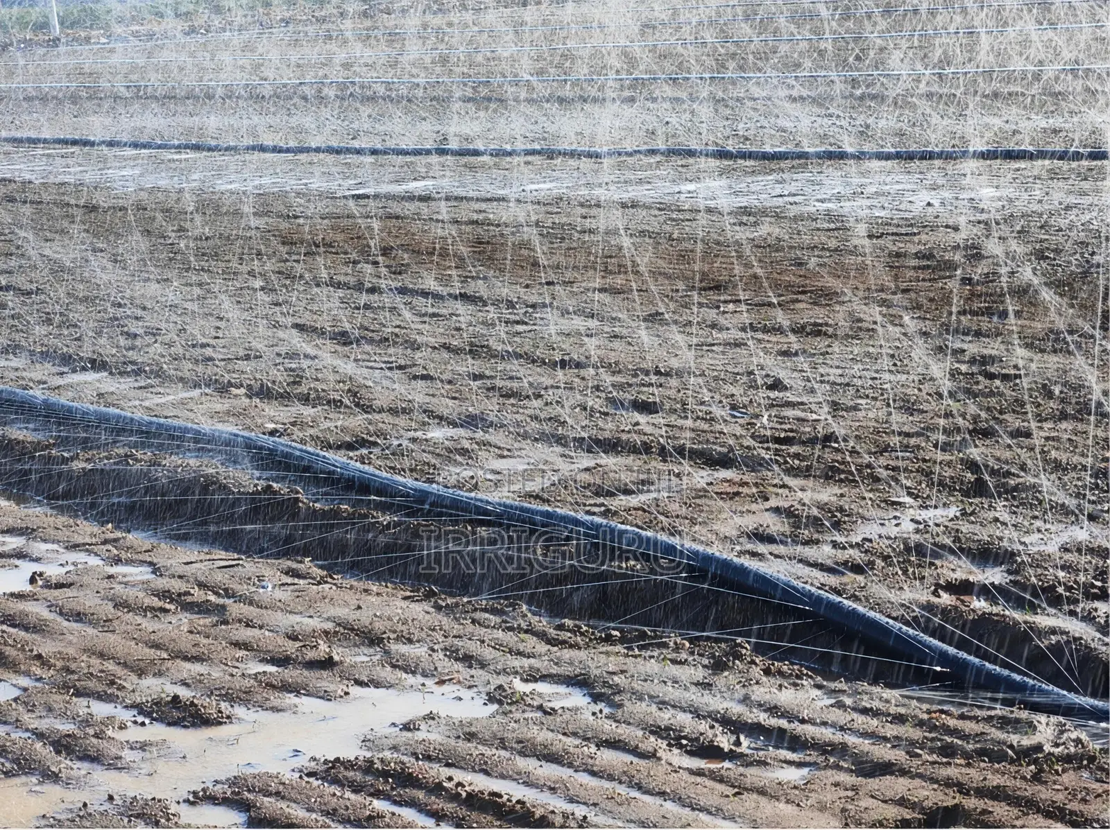 N65rainhose 100 Meter Irrigation Pipes Per Plate