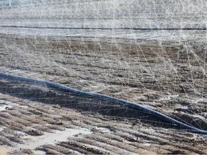 N65rainhose 100 Meter Irrigation Pipes Per Plate