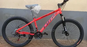 Luta Mountain Bike Size 20
