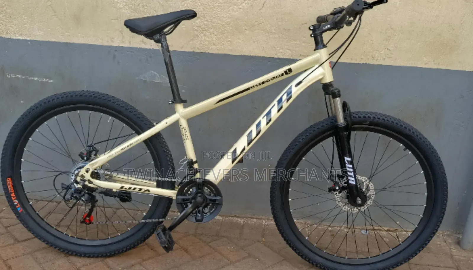 Luta Mountain Bike Size 20