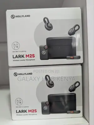 Hollyland Lark M2s