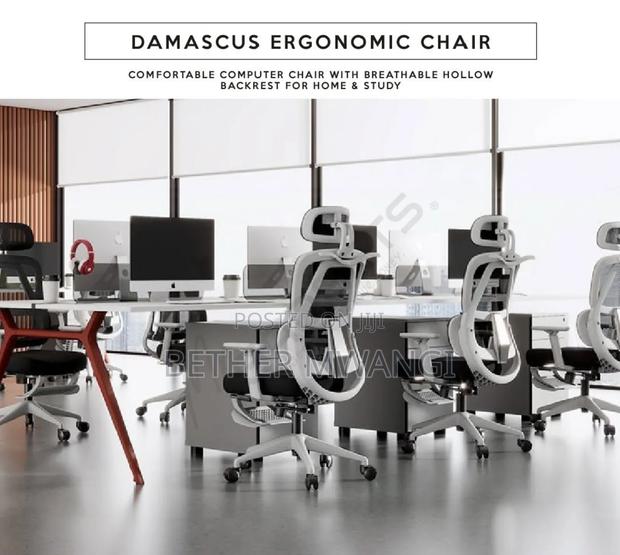 Damascus Ergonomic Office Chair in Kenya - thumbnail 2