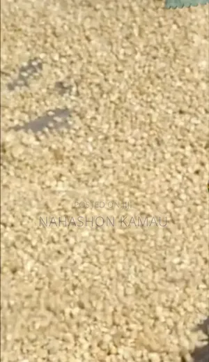 Dried Maize
