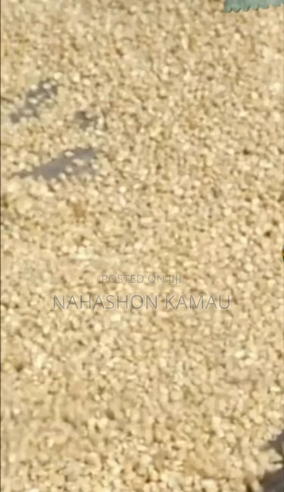 Dried Maize