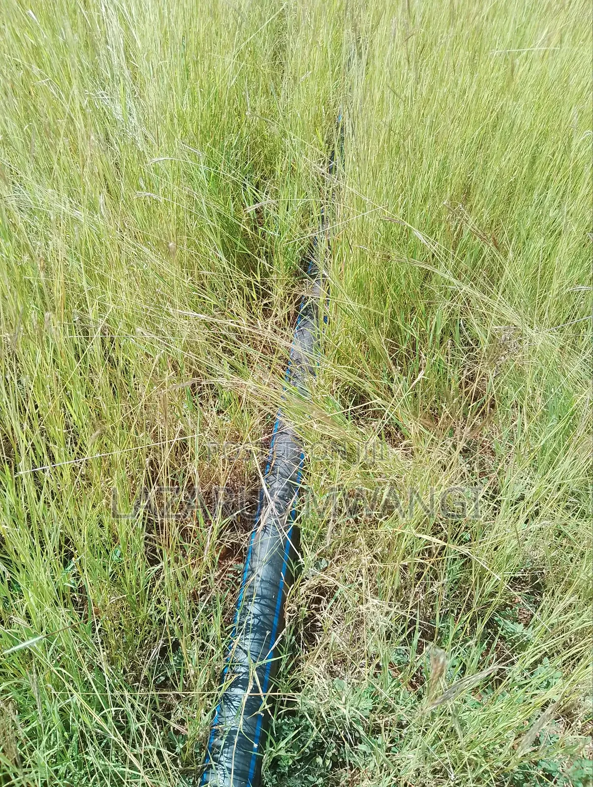 One Acre Mwea Karaba Kikumini Area Wango