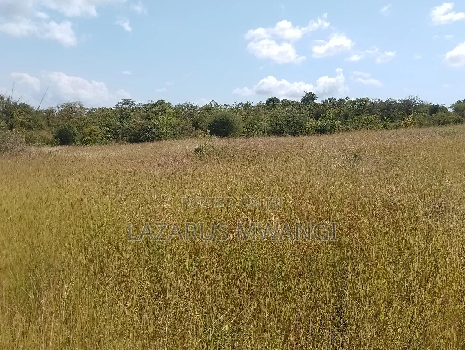 One Acre Mwea Karaba Kikumini Area Wango