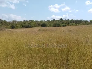 One Acre Mwea Karaba Kikumini Area Wango