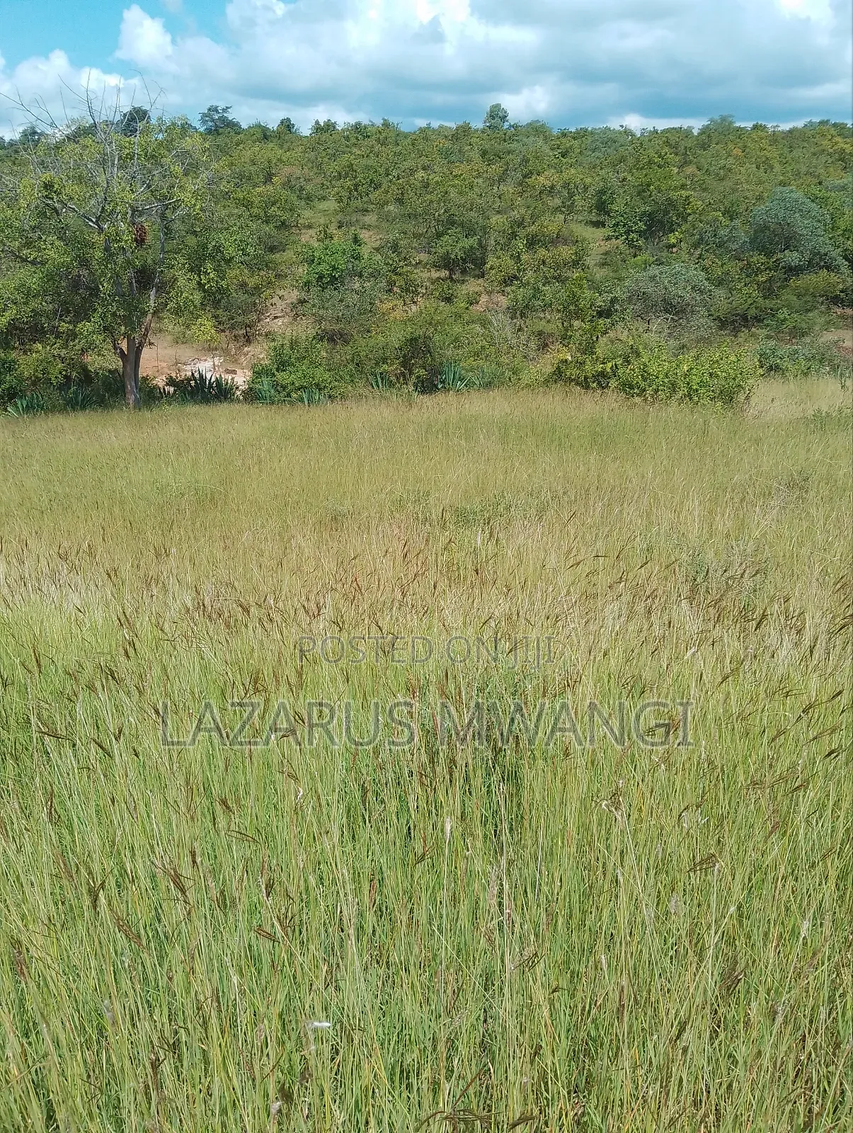 One Acre Mwea Karaba Kikumini Area Wango