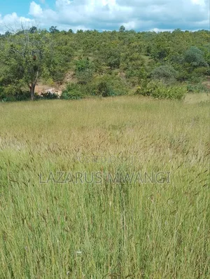 One Acre Mwea Karaba Kikumini Area Wango