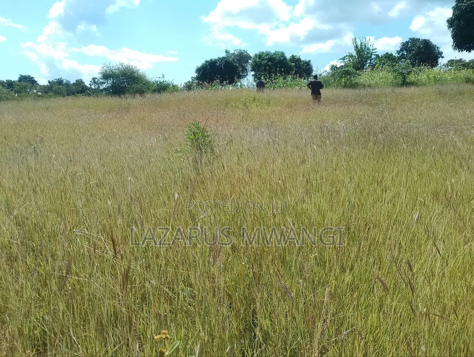 One Acre Mwea Karaba Kikumini Area Wango