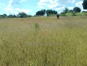 One Acre Mwea Karaba Kikumini Area Wango
