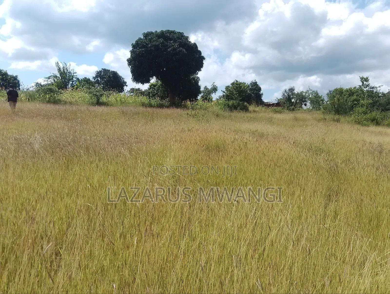 One Acre Mwea Karaba Kikumini Area Wango
