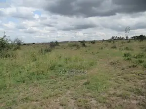 50 Acres of Land for Sale in Katani, Ideal for a Quarry