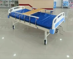 Double Crank Bed With Matress