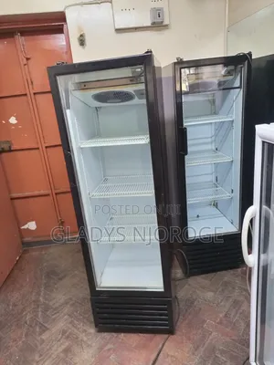 Fregorex ( Medium Display Fridge)