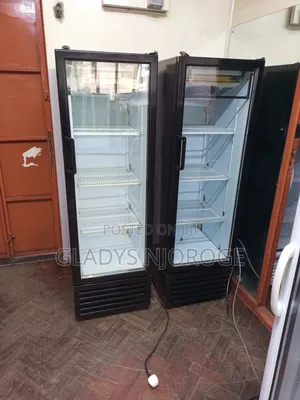 Economical ( Medium Fregorex, 300l)