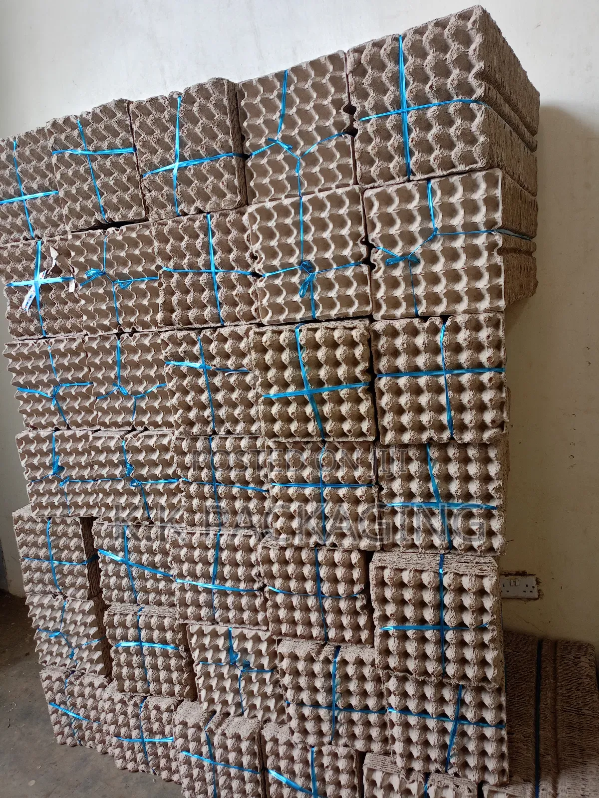 30 Grid PCS Egg Trays