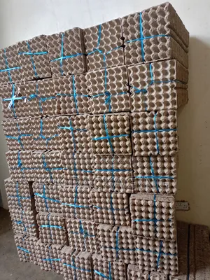 30 Grid PCS Egg Trays