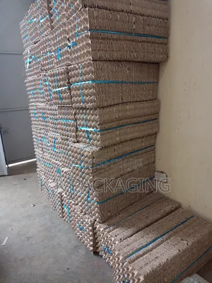 30 Grid PCS Egg Trays