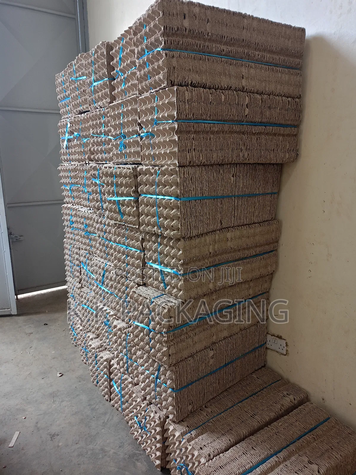 30 Grid PCS Egg Trays