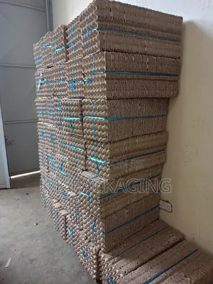30 Grid PCS Egg Trays