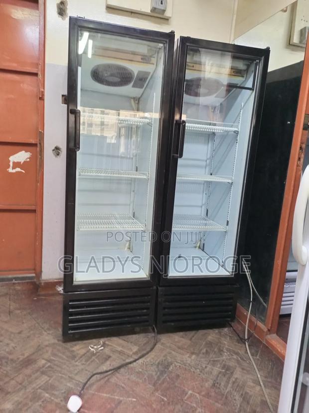 Fregorex Medium Fridge( Well Maintained)