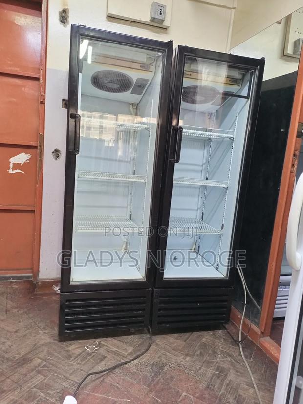 Fregorex Medium Fridge( Well Maintained) - thumbnail 3