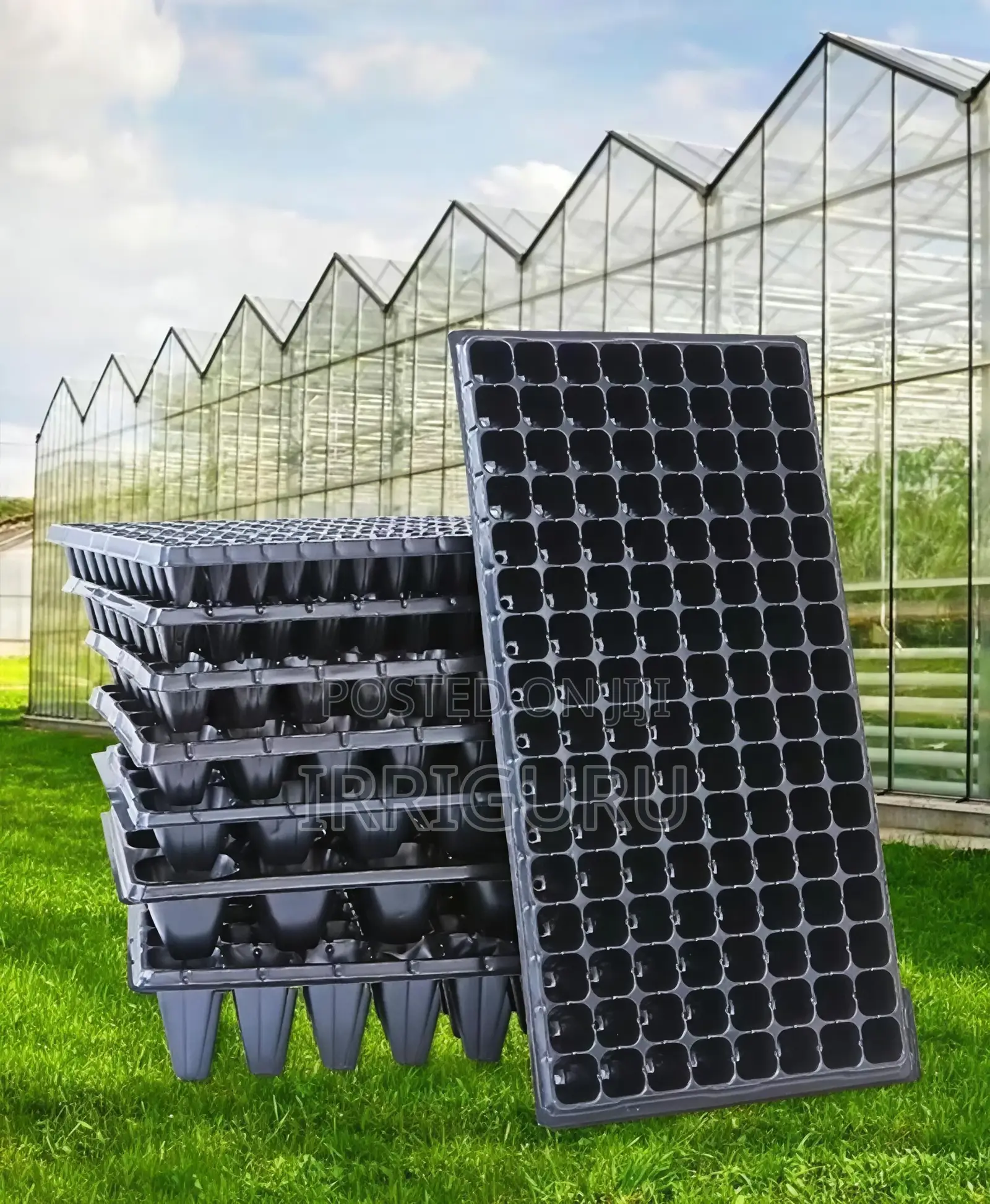 60 Hole Seedling Tray