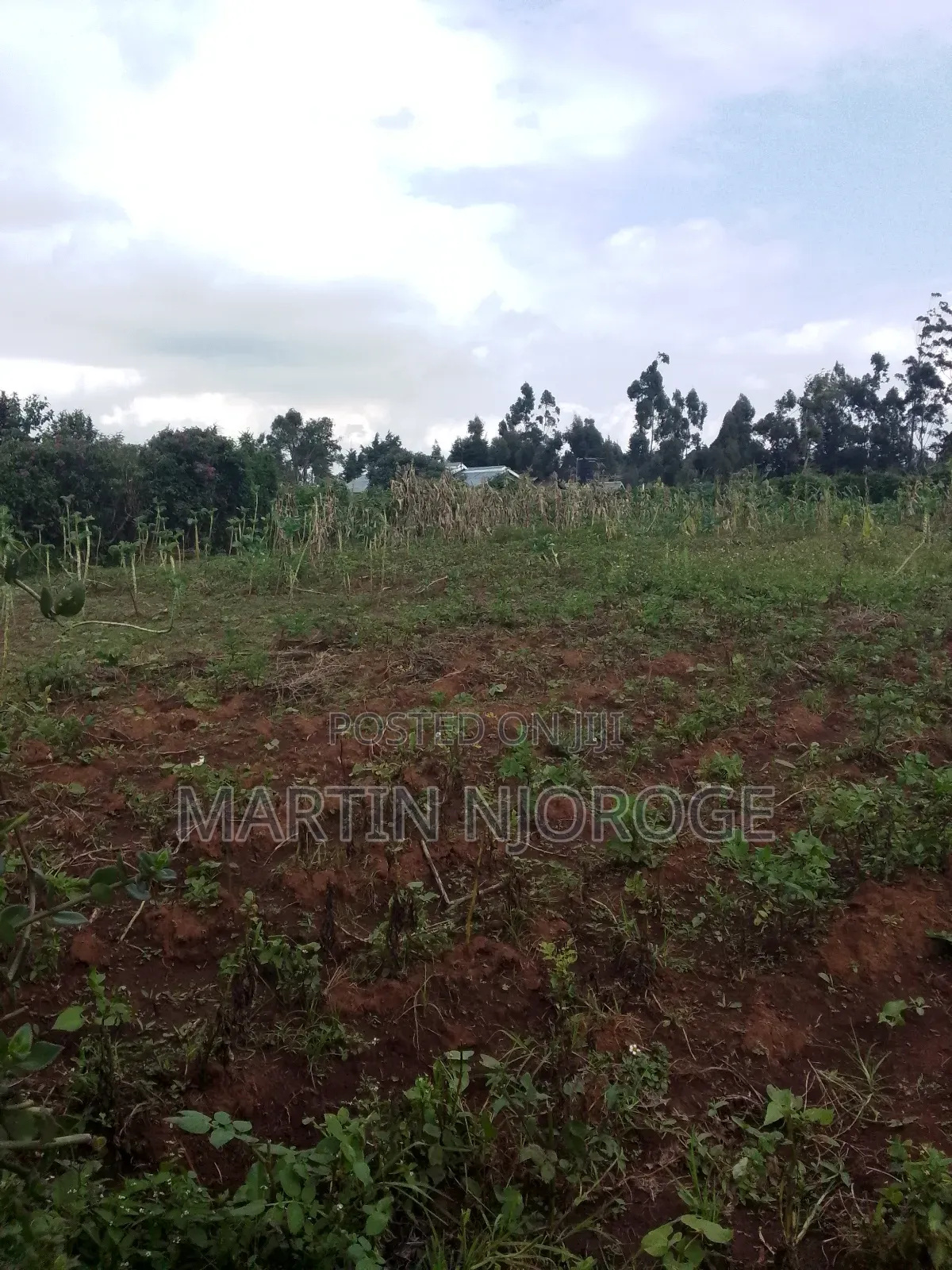 1⁄2 Acre Nyambari