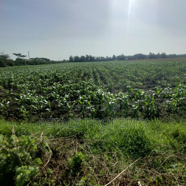 50 Acres for Sale in Kabarak Nakuru