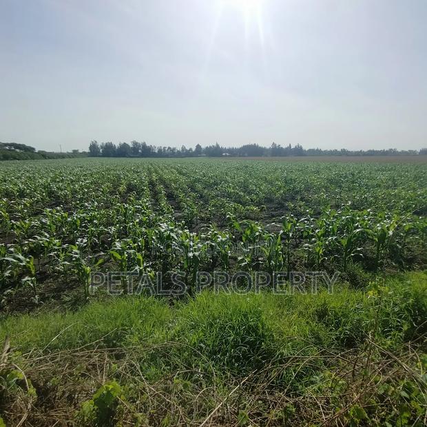 50 Acres for Sale in Kabarak Nakuru - thumbnail 2