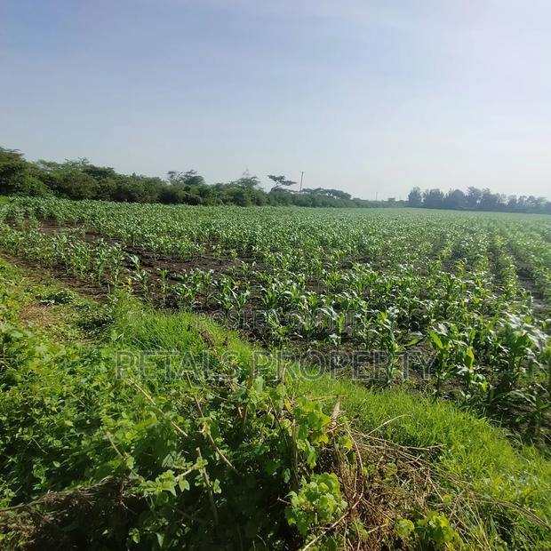 50 Acres for Sale in Kabarak Nakuru - thumbnail 3