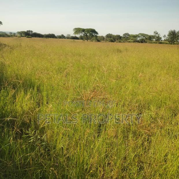 2.5 Acres of Land for Sale in Molo River,Kampi Ya Moto
