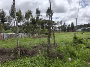 Commercial Eighth Acre Plot in Ngong, Matasia Near Tarmac