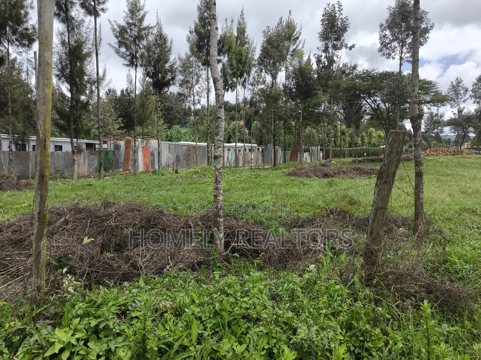 Commercial Eighth Acre Plot in Ngong, Matasia Near Tarmac