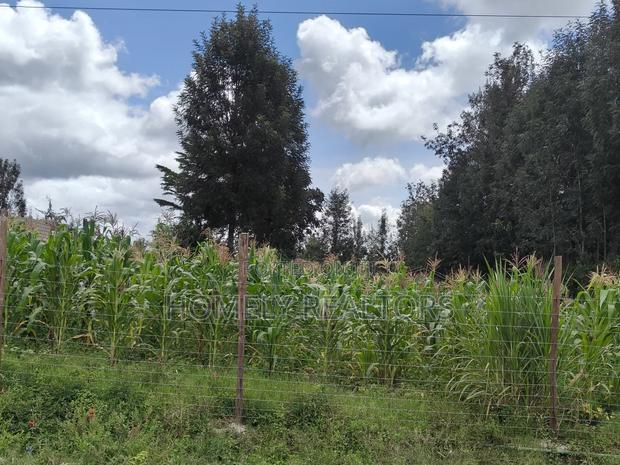 Half Acre Plot in Ngong, Along Merisho Rd, Touching Tarmac - thumbnail 4