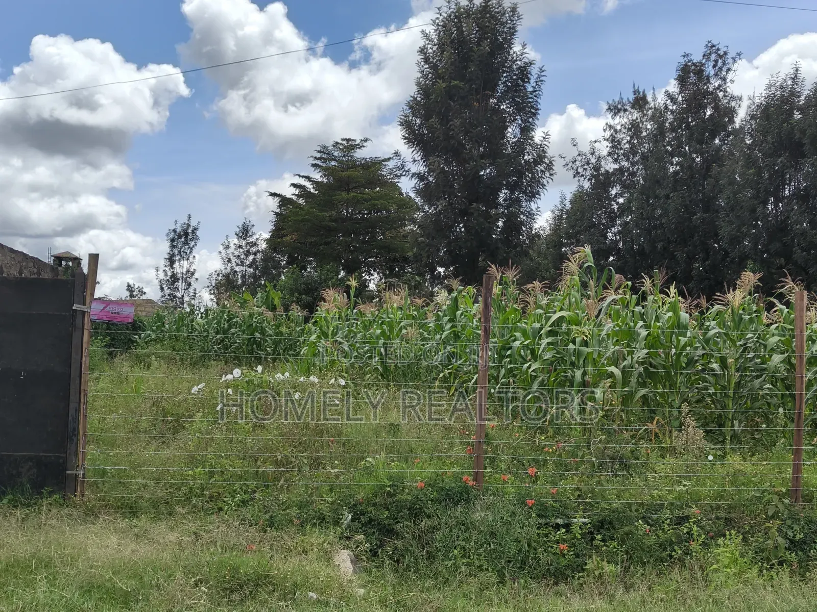 Half Acre Plot in Ngong, Along Merisho Rd, Touching Tarmac