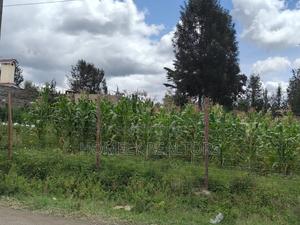 Half Acre Plot in Ngong, Along Merisho Rd, Touching Tarmac - thumbnail 2