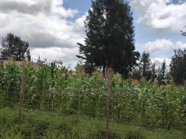 Half Acre Plot in Ngong, Along Merisho Rd, Touching Tarmac - thumbnail 3