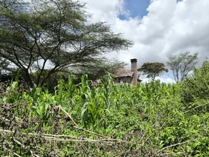 Eighth Acre Plot in Ngong, Ol Keri 100 Meters From Tarmac